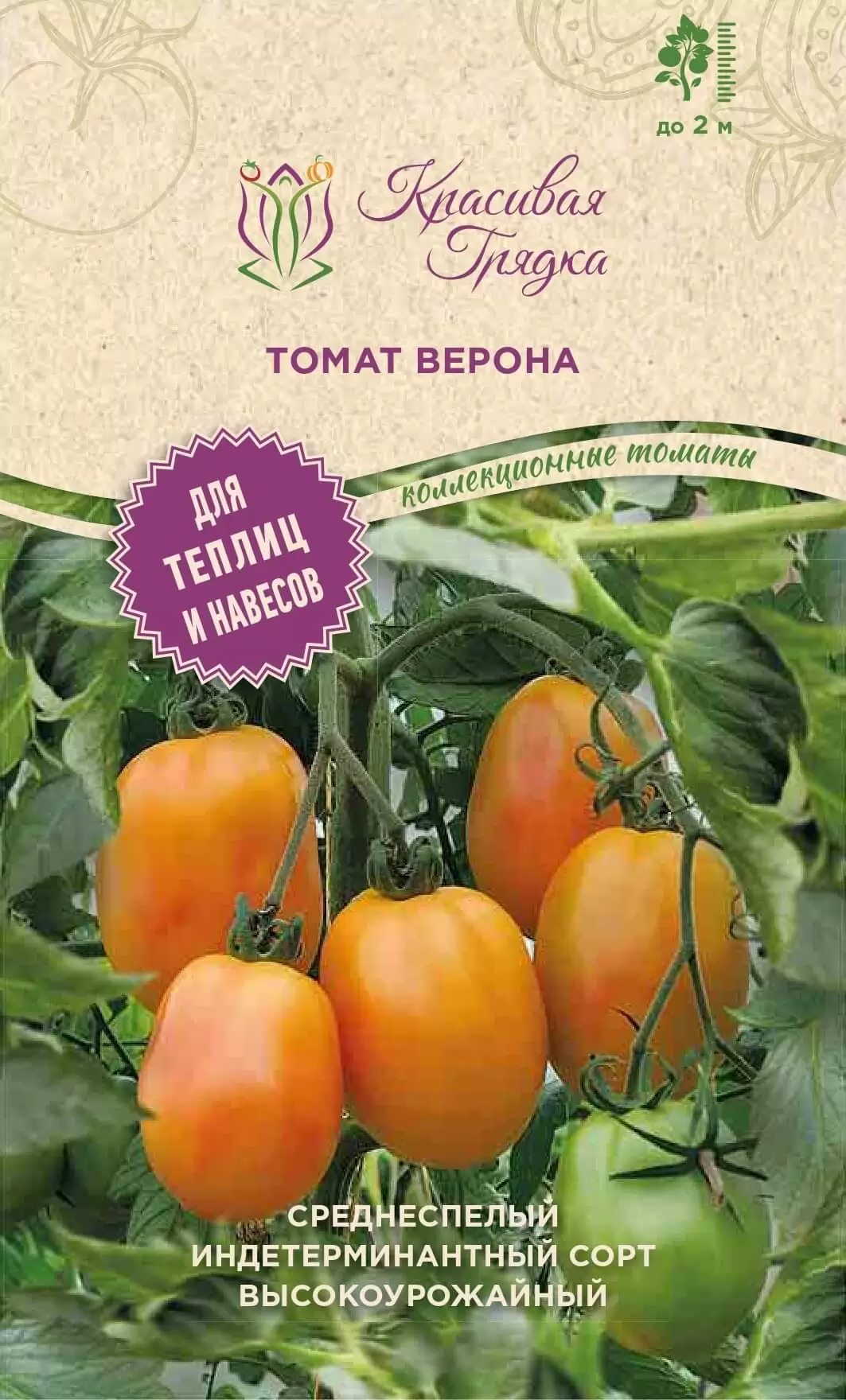 Томат Верона