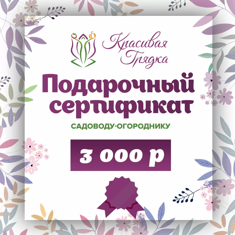 Подарочный сертификат 3000 р.