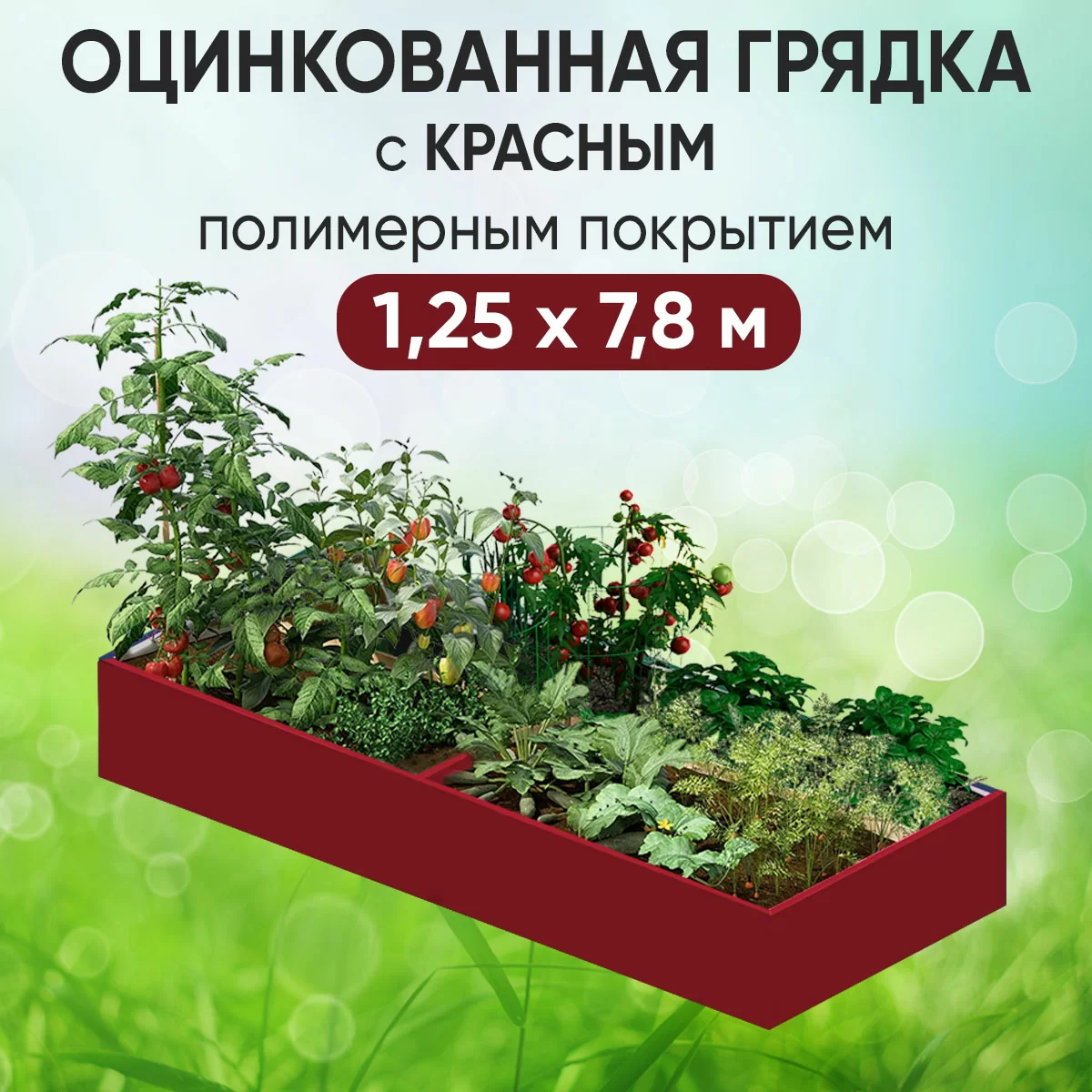 Грядка красная (1,25 х 7,8)