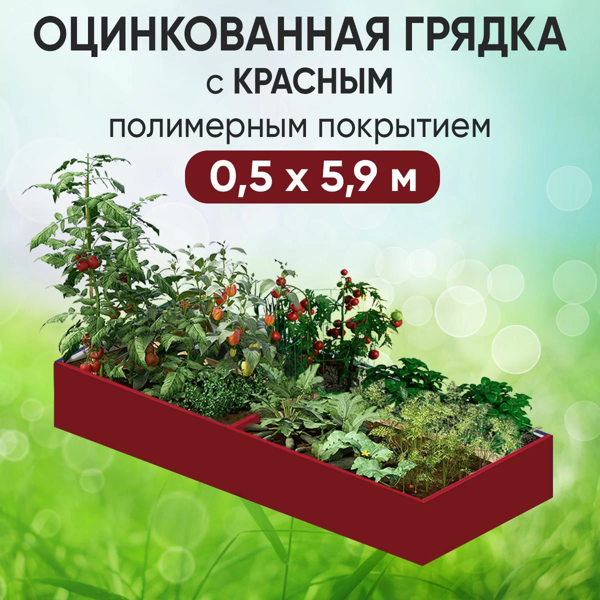 Грядка красная (0,5 х 5,9)