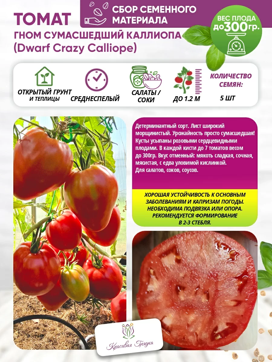 Гном сумасшедший каллиопа