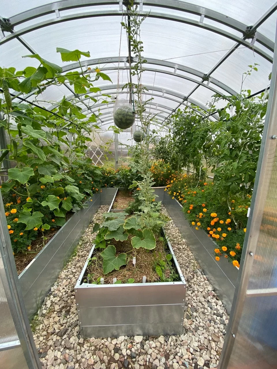 Высокий комплект оцинкованных грядок в теплицу