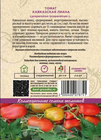 Кавказская лиана