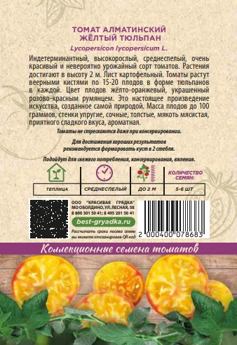 Алматинский желтый тюльпан