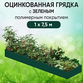 Грядка зеленая (1 х 7,5)