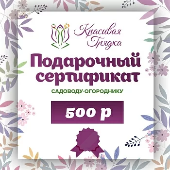 Подарочный сертификат 500 р.