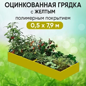 Грядка желтая (0,5 х 7,9)