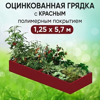Грядка красная (1,25 х 5,7)