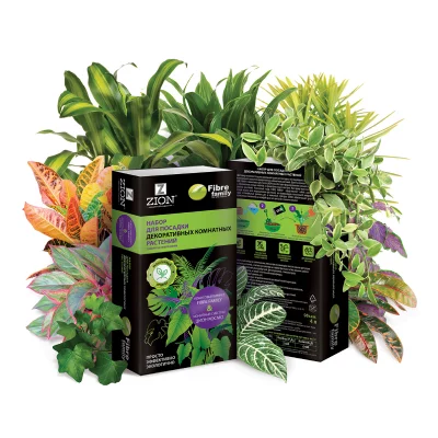 Набор для посадки декоративных комнатных растений